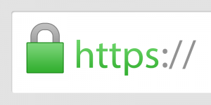 https (Hypertext Transfer Protocol Secure) secure logo