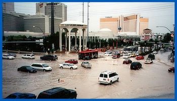 Comprehensive Auto Insurance Coverage - Flood Damage