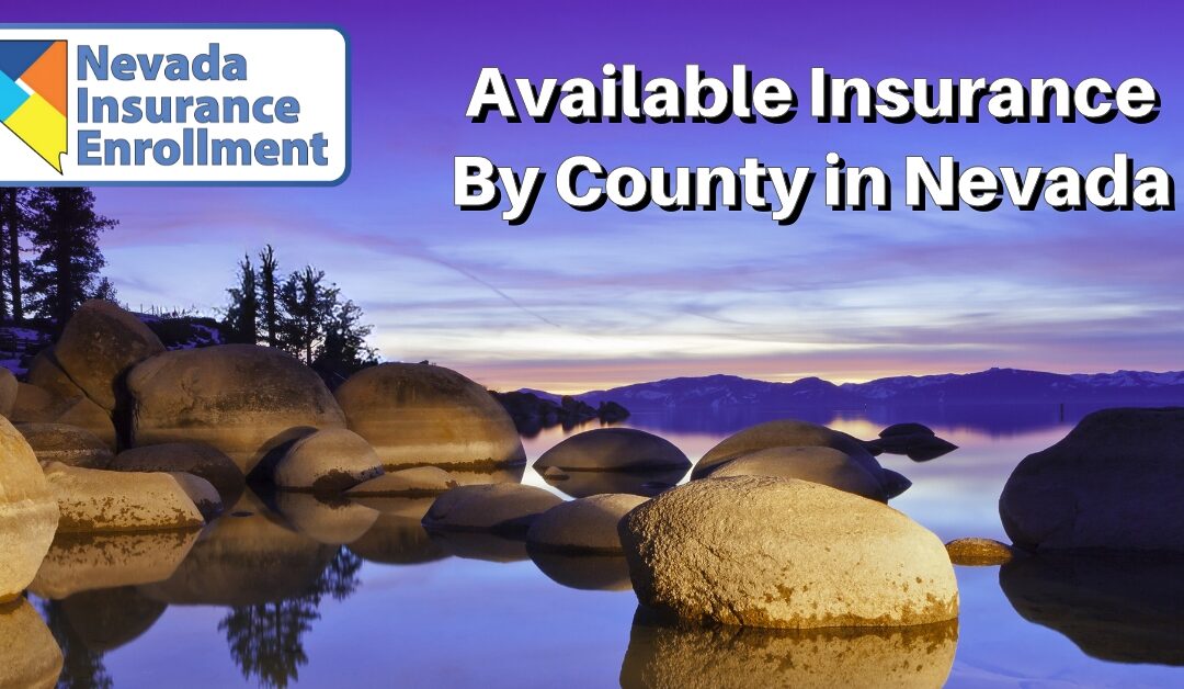 Insurance Company Location by County